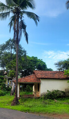 Fototapeta na wymiar Coastal Village House Next to Coconut Tree