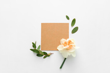 Beautiful narcissus and blank card on white background