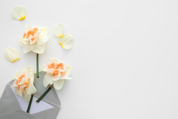 Envelope with beautiful daffodils on white background