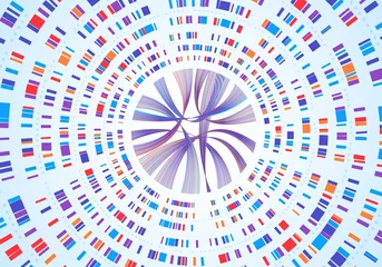 Fotobehang Genome infographic. Dna sequence visualization, genetic mapping, gene barcoding. Abstract chromosome map diagram, genetics analysis vector concept. Circular network colorful structure © Frogella.stock