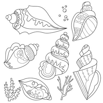 Contour linear illustration with shell set. Cute shells, anti stress picture. Line art design for adult or kids  in zentangle style and coloring page.