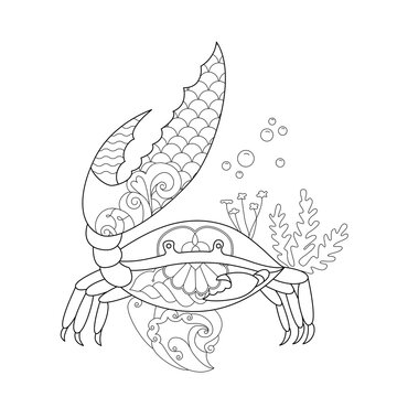 Contour linear illustration with marine animal for coloring book. Cute crab, anti stress picture. Line art design for adult or kids  in zentangle style and coloring page.