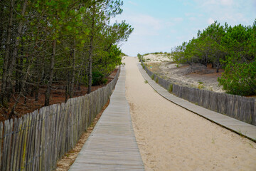 sandy wooden path access sand beach in lege cap-ferret Atlantic coast in france