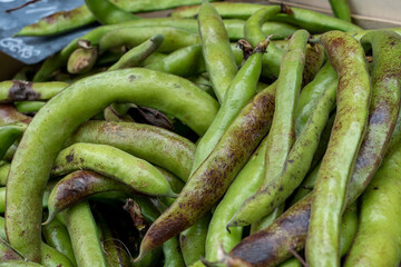 close up of organic broad bean .