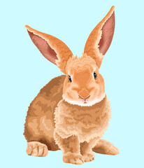 realistic bunny rabbit