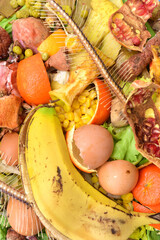 detail of composting fruits, vegetables, fish ....