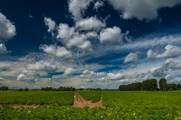Poster Wolkige Landschaft © Photography_AT