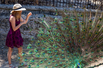 happy teen girl grabbing peacock tail, horizontal.
