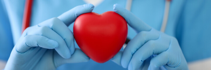 Doctor in gloves holds a red heart closeup