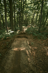 Trampoline in the woods. Extreme bicycle riding in the forest. Man-made hump made of dirt, sand and cutted wood.