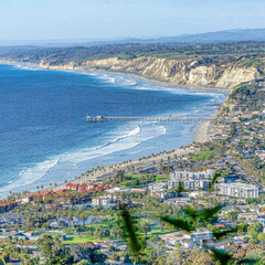 Square Ocean and waterfront properties in San Diego CA with blurry flower in foreground