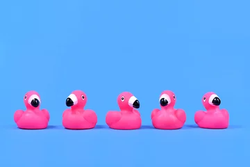 Gordijnen Pink rubber duck flamingos in a row on blue background with copy space © Firn