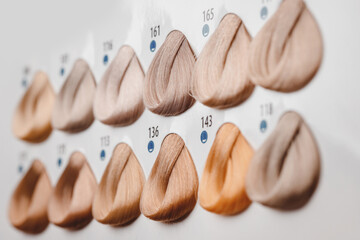 Set hair brunette tints colors palette on hairdresser background