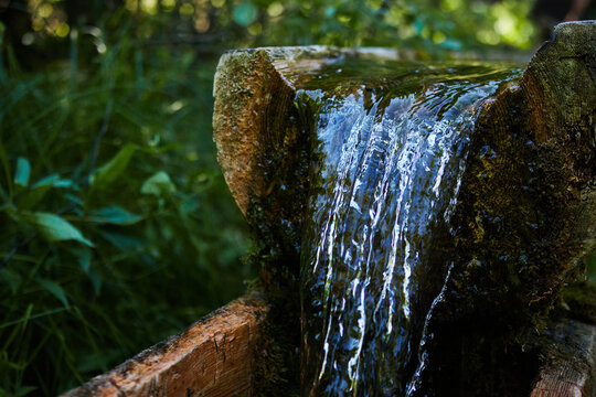clear water flows in a small spring