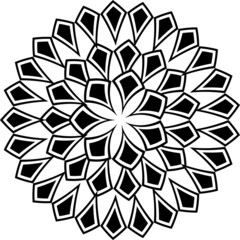 beautiful monochrome of beatuiful leaves