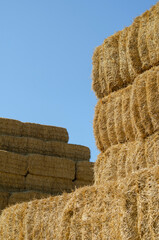 Rectangular bales of dry hay against the blue sky.