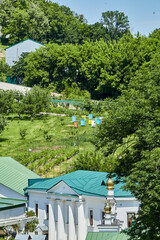 white garden in the park