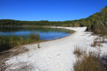 A beautiful day at Lake Birabeen on Fraser Island in Australia