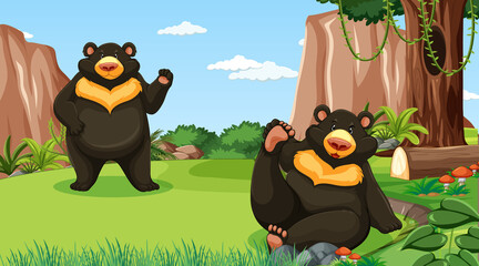 Asian black bear or moon bear in forest or rainforest scene