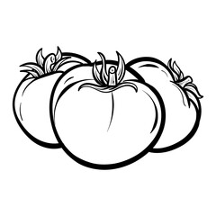 hand drawn tomato. Organic eco food. Isolated on the white background. Vector black hand-drawn vintage engraving illustration for poster, label, menu, web.