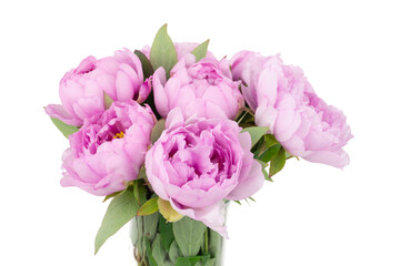 Pink peony flowers bouquet in a glass vase close up with white background