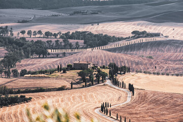 Naklejka premium Tuscany