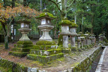 stone lantern in forest japan