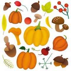 Raster autumn and summer set of mushrooms, pumpkins, leaves, branches, acorns. Autumn seasonal elements ideal for wallpapers, designs, posters, scrapbooks, textile, fabric.