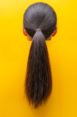 Back view ponytail damaged hair isolated on yellow background. Dry and brittle hair problem. Black long hair with a dry texture. Asian woman with weak, brittle, and unhealthy hair need spa. - obrazy, fototapety, plakaty