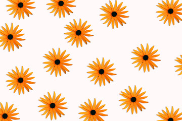 pattern with flowers
