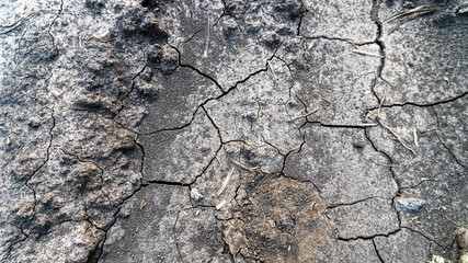 cracks in the ground close-up