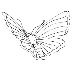 Fototapeta na wymiar Isolated black and white butterfly on a white background. Vector illustration.