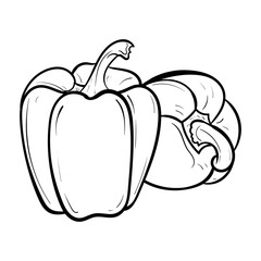 pepper. Vector illustration of sweet pepper. Hand-drawn pepper. Sketch paprika. pepper line art