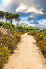 Fototapeta na wymiar (Selective focus) Stunning view of a trail leading to Cala Caprese, a beautiful beach of the Island of Caprera. Blurred granite mountain in the distance with a cloudy sky. Sardinia, Italy.