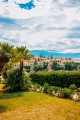 Palm trees near Sveti Stefan island, Montenegro