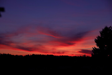 Dramatic red sunset against a blue sky with clouds over the forest. Beautiful cloudscape background. Dusk and dawn concept 
