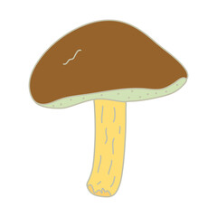 Mossiness mushroom. Hand drawn  vector illustration with outline isolated on white background.	
