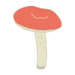 Red-cup russula mushroom. Hand drawn doodle vector illustration with color outline isolated on white background.  - obrazy, fototapety, plakaty