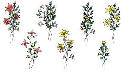 Set of cute field mini bouquets of vector flowers and branches in doodle style on a white background. Simple flowers and plants. Isolated objects.