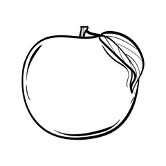 Vector Line Art Apple Fruit. hand drawn Apple fruit vector. Isolated fruit silhouette in cartoon style. Fruit pictogram for coloring page
