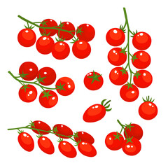 Vector colorful set of tomatoes cherry isolated on white. - 444907625