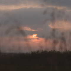 Obraz premium sunset in the field