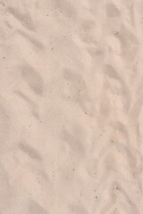 Fototapeta na wymiar steppe sand. sand on the road beach, vacation, sea association, textured sand