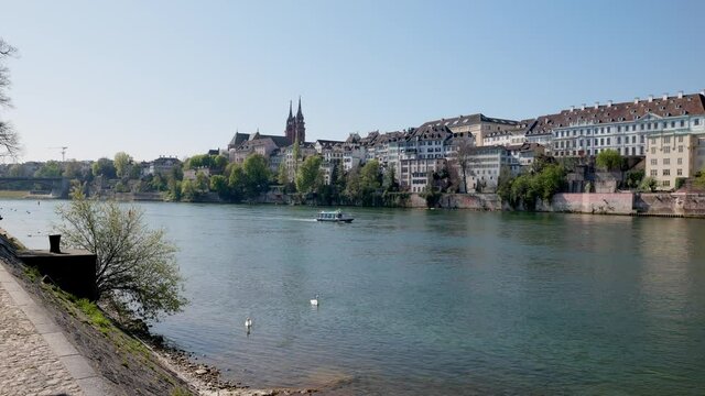 basel switzerland, 24 april. 2021: view of the rhine, blue old passenger speedboat sailing up the river, two swans in the foreground, basel old town with town hall in the background