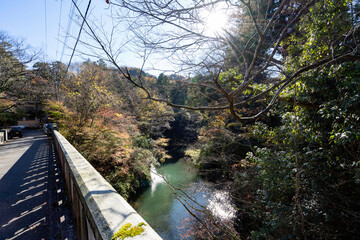 Fototapeta premium 秋の山中温泉鶴仙渓・黒谷橋から眺める紅葉