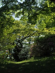 View Rakusanen in Kanra Town and its surroundings