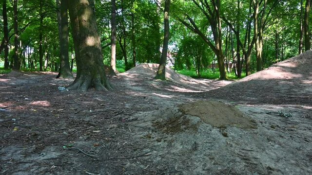 MTB trail riding on the MTB bicycle in the summer season