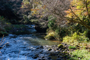 秋の加賀温泉郷・紅葉の山中温泉鶴仙渓