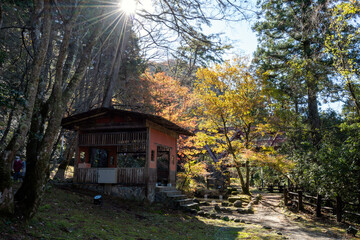 秋の加賀温泉郷・紅葉の山中温泉鶴仙渓