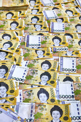 5만원권의 한국지폐